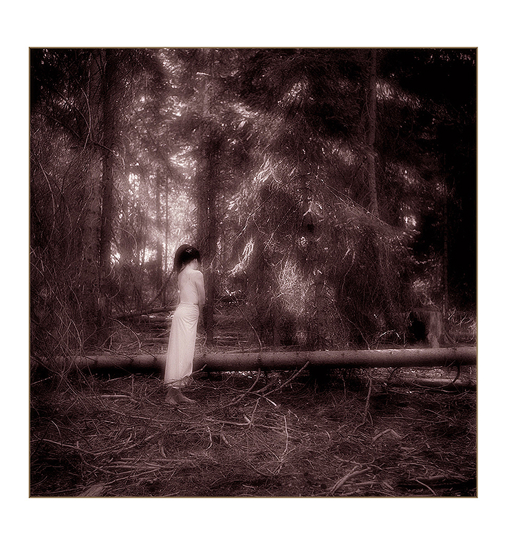 The Tunnel, Victorian Forest, Oregon Cascades,  High Cascade Studios.